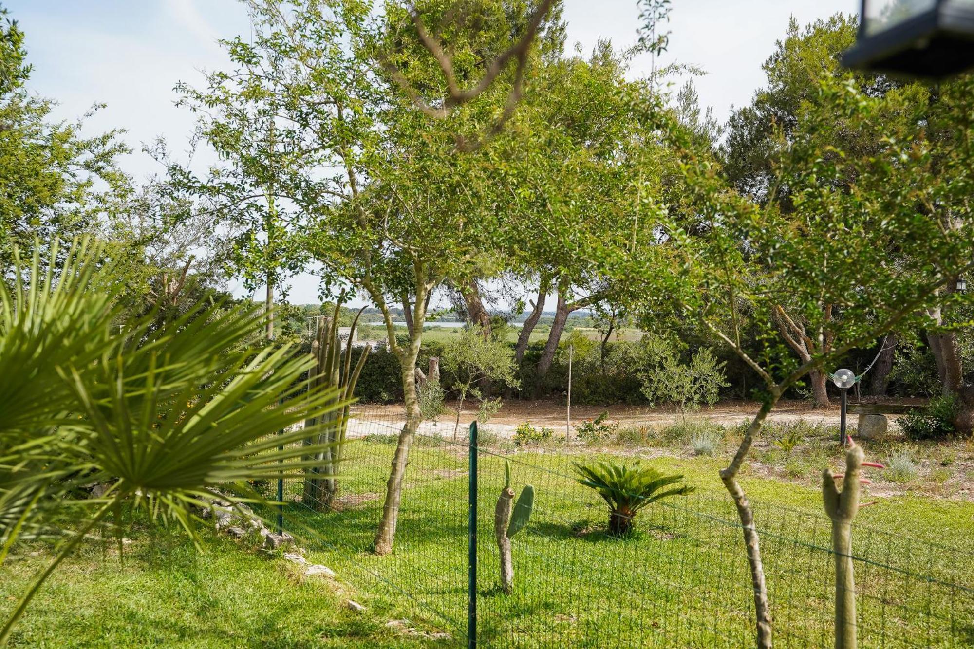 Casa Vacanza Russo Fernando Alimini Eksteriør billede